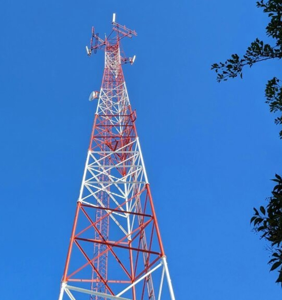 Mobile Tower Erection Service
